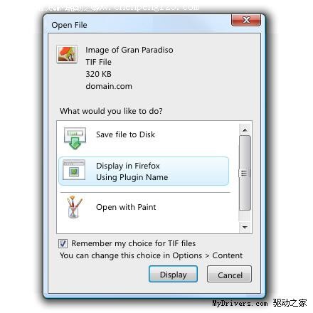 Firefox 3.0½桢Ԥ
